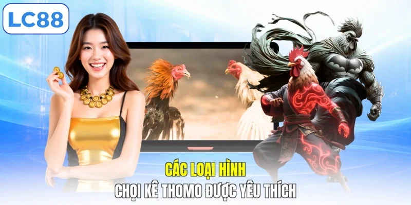 Các loại hình chọi kê Thomo được yêu thích